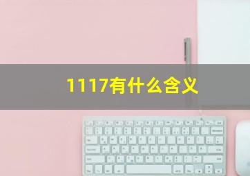 1117有什么含义