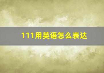 111用英语怎么表达