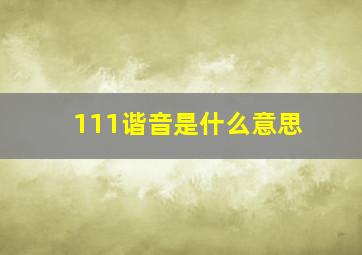 111谐音是什么意思