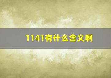 1141有什么含义啊