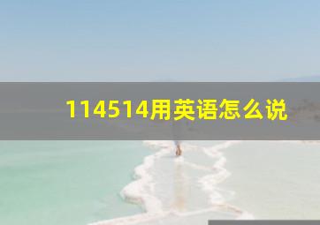 114514用英语怎么说