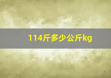 114斤多少公斤kg