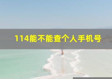 114能不能查个人手机号