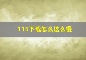 115下载怎么这么慢