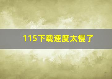 115下载速度太慢了