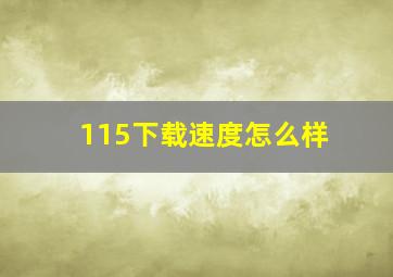 115下载速度怎么样