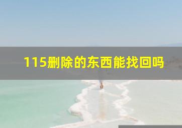 115删除的东西能找回吗