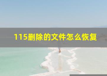 115删除的文件怎么恢复