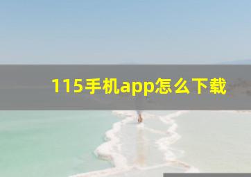 115手机app怎么下载