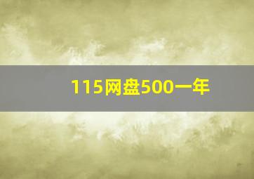 115网盘500一年