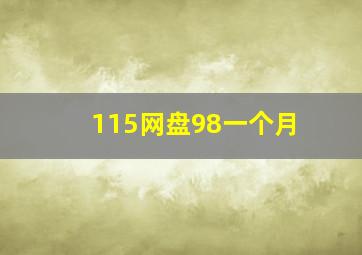 115网盘98一个月