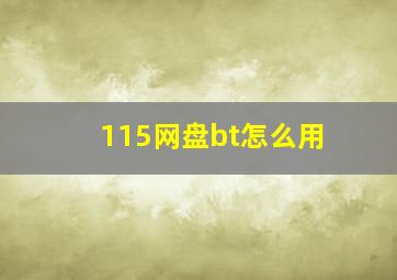 115网盘bt怎么用