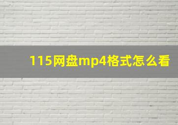 115网盘mp4格式怎么看