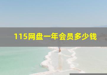 115网盘一年会员多少钱