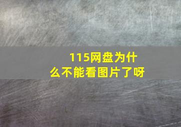 115网盘为什么不能看图片了呀