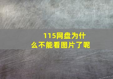 115网盘为什么不能看图片了呢