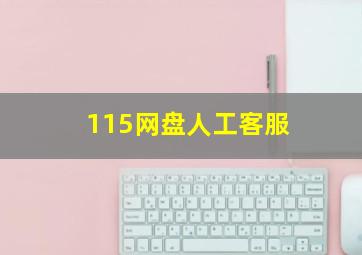 115网盘人工客服