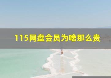 115网盘会员为啥那么贵