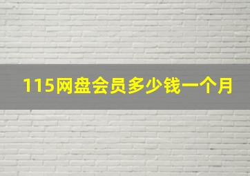 115网盘会员多少钱一个月