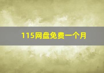 115网盘免费一个月