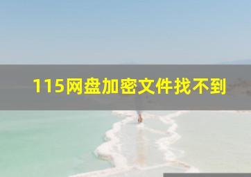 115网盘加密文件找不到