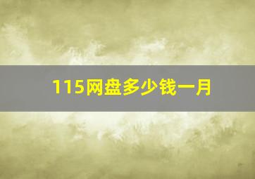 115网盘多少钱一月