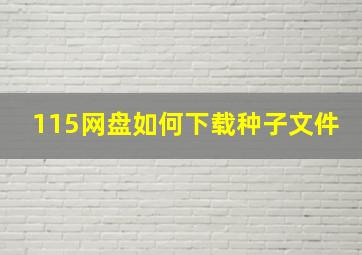 115网盘如何下载种子文件