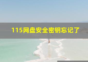 115网盘安全密钥忘记了