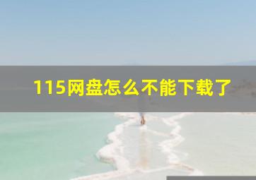 115网盘怎么不能下载了