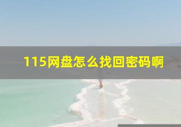 115网盘怎么找回密码啊