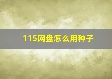 115网盘怎么用种子