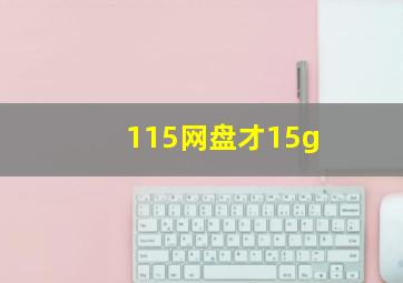 115网盘才15g