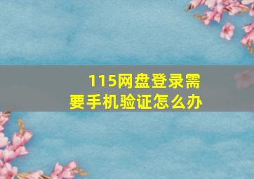 115网盘登录需要手机验证怎么办