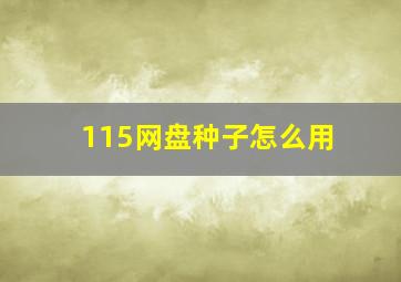 115网盘种子怎么用