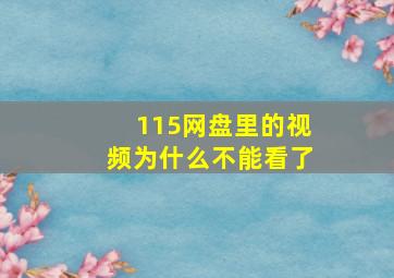 115网盘里的视频为什么不能看了