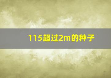 115超过2m的种子