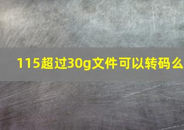 115超过30g文件可以转码么