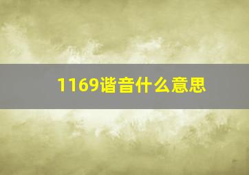 1169谐音什么意思