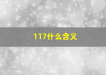 117什么含义