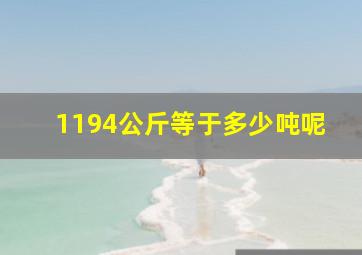 1194公斤等于多少吨呢