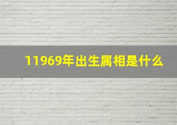 11969年出生属相是什么