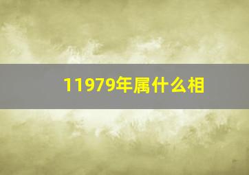 11979年属什么相