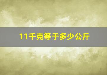 11千克等于多少公斤