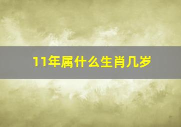 11年属什么生肖几岁