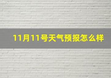 11月11号天气预报怎么样