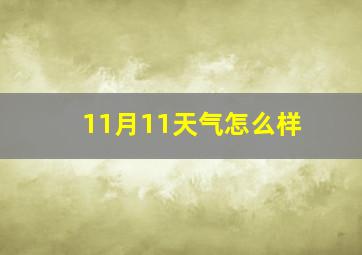 11月11天气怎么样