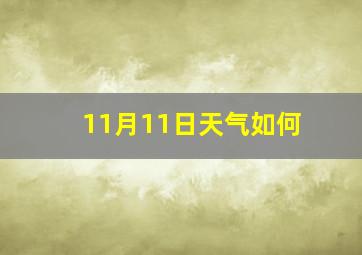 11月11日天气如何