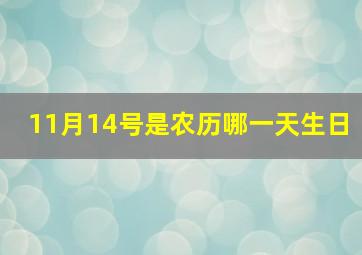 11月14号是农历哪一天生日