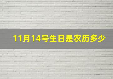 11月14号生日是农历多少