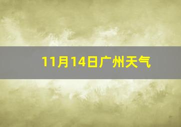 11月14日广州天气